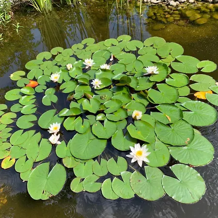 Appartamento Einladendes Im Gruenen Fuer 2 Personen *